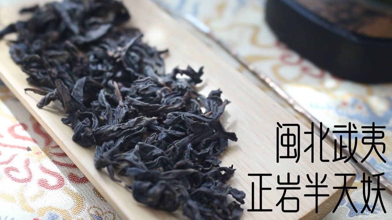 청차 | 민북오룡 무이 정암 반천요 | 閩北烏龍武夷正岩半天姣 [차록#119] ¶자막 - YouTube