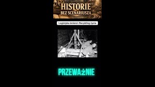 Logistyka śmierci: Recykling życia