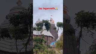 Kalia re tote chanhi dele#odisha #dance #song