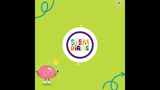 STEM Birds AI and Machine Learning Net Worth