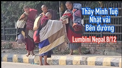 8/12 video đặc thầy Minh Tuệ trên đường khất thực về lấy cây khều vải ở dưới mương đường để Nhật 