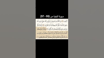 سورة البقرة  من (55 - 57) |القارئ الشيخ : سعد الغامدي#سعدالغامدي #القران_نور_حياتي #القرآن_حياة