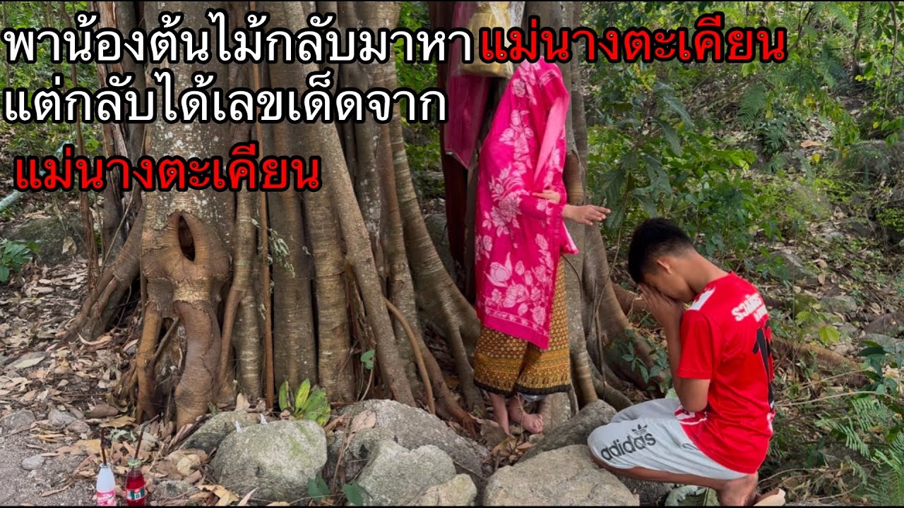 พาน้องต้นไม้กลับมาหาแม่นางตะเคียนเพื่อให้แม่นางไถ่โทษแต่แม่นางตะเคียนกลับให้เลขเด็ดไม่ดูถือว่าพลาด?