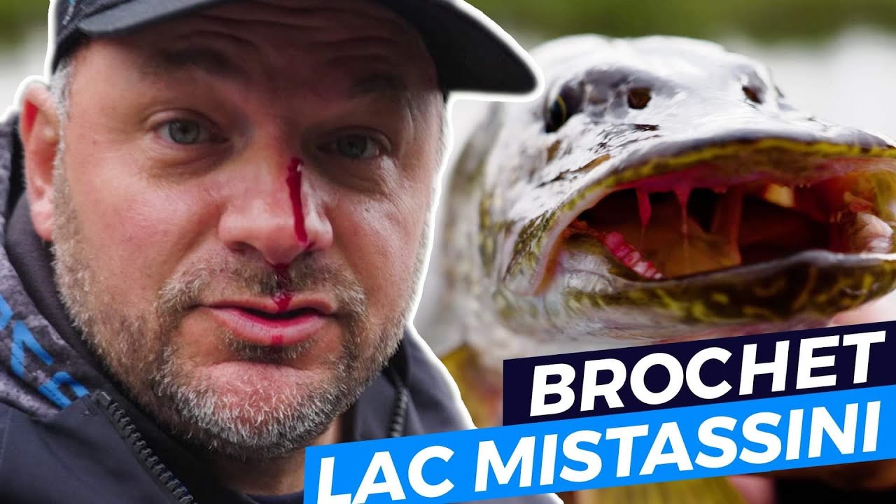 Pêche aux brochets du Nord au lac Mistassini Christian Fournier 12