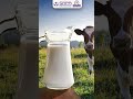 Can You Give Cow or Goat Milk to Newborns? | क्या नवजात को गाय या बकरी का दूध देना सही है?