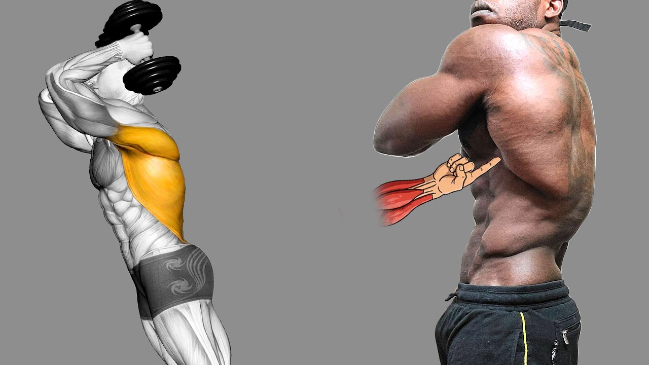 Не нужен спортзал: 7 упражнений на широкую широчайшую мышцу спины с гантелями