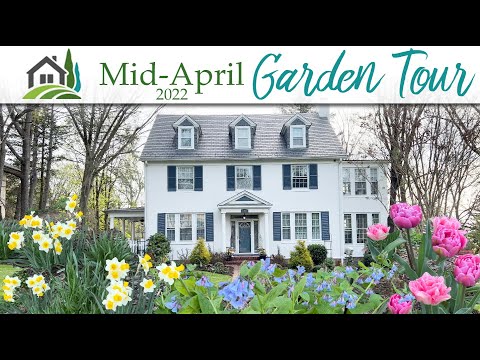 Mid-April Garden Tour with plant labels - 🌸🌷💐🌺