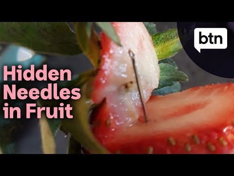 Hidden Needles Found In Australian Strawberries - Behind The News