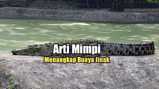 Arti Mimpi Menangkap Buaya Jinak