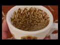 Virgo Your Comeback Story Starts Now Coffee Cup Reading