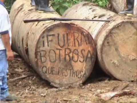 Los caminos de la madera - Jose Aguilar