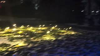 Brooklyn Botanic Gardens - Lightscape 2025-26