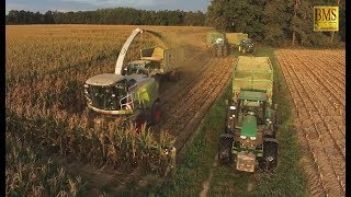 Maisernte 2018 - Maisprofis häckseln u. silieren Energiemais für Biogas plant biggest corn harvest