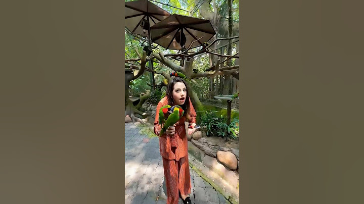 রিতুর বান্ধবী গুলো ছলে আসছে 🦜 Malaysia Parrot 😁 #shorts