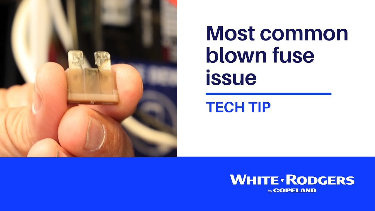 Most common blown fuse issue