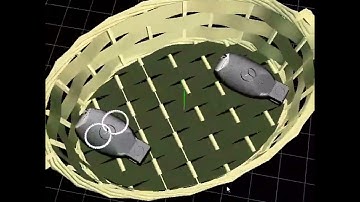 the video by capturing the animating hierarchical model