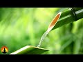 🔴 Relaxing Music 24/7, Meditation Music, Healing Music, Sleep, Zen, Yoga, Study Music, Spa Music