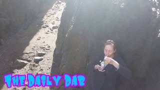 The Daily Dab 47