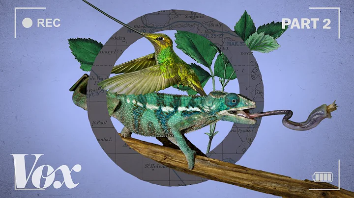 How wildlife films warp time