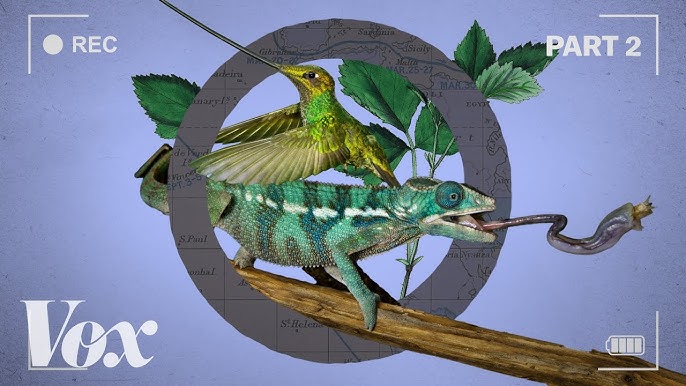 Bbc Earth 50 Top Natural History Moments Planet Earth Bbc Youtube
