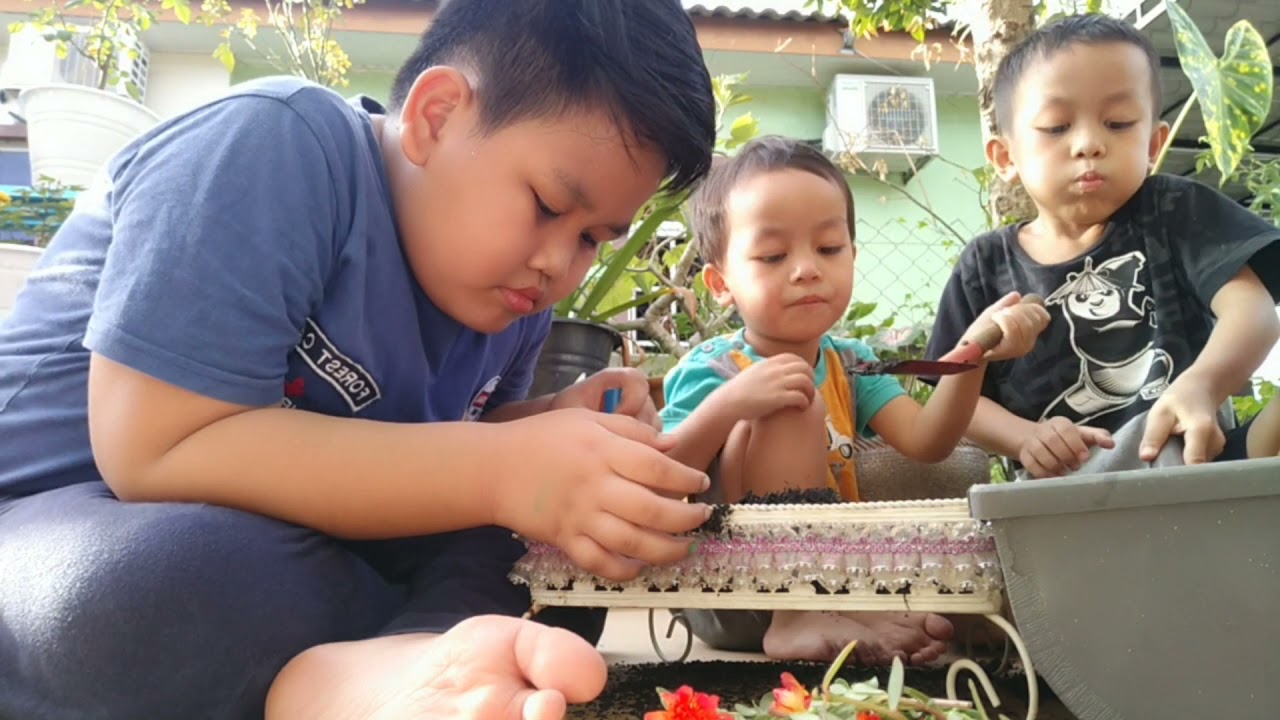 Family Gardening Perkembangan Deria Dan Pemahaman Dunia Persekitaran 3z Tnktpg 3 Years Old Youtube