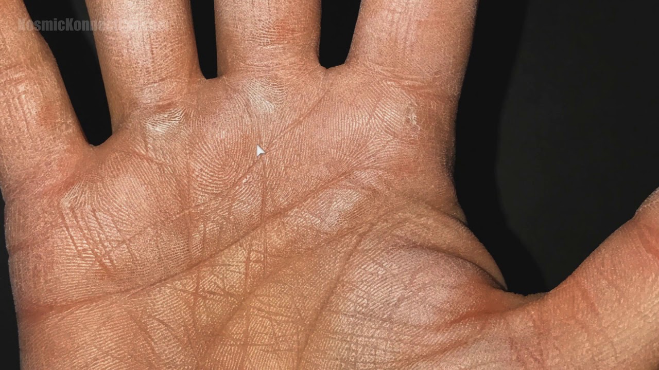 FULL In Depth Male Hand & Palm Reading #12 | Palmistry - YouTube