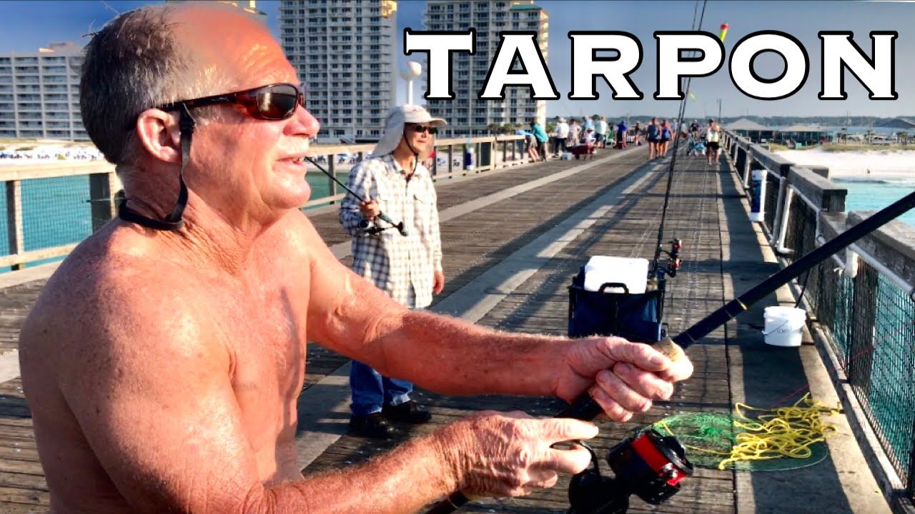TARPON NAVARRE PIER