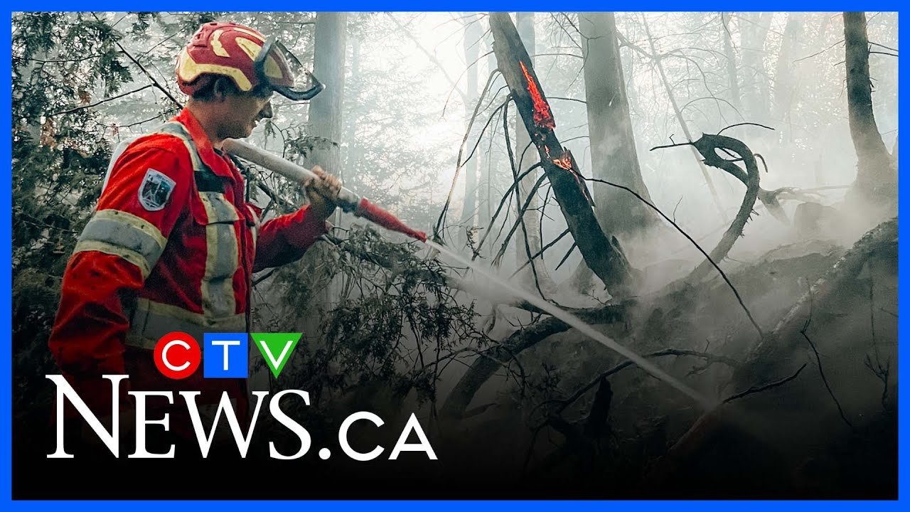 Elevated risk of forest fires persists in Quebec as hot weather ...