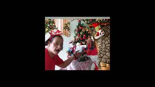 Merry Christmas Julia and Gizmo in heaven