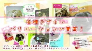 我が家自慢「ゆずのペットグッズ」
