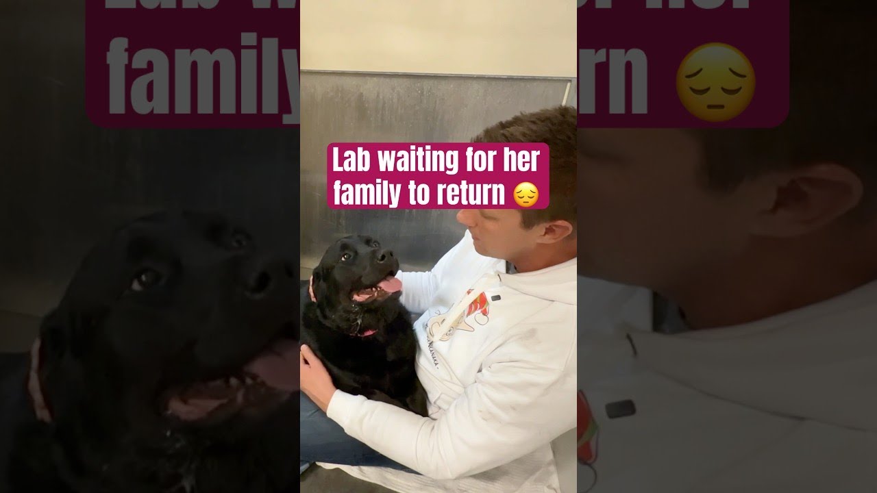 One Bad Day Cost Her Everything 🥺 YouTube