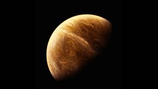 Ｆｌｕｐｓ - Ｖｅｎｕｓ