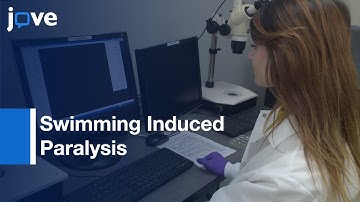 Swimming Induced Paralysis To Assess Dopamine Signaling In Caenorhabditis elegans l Protocol Preview