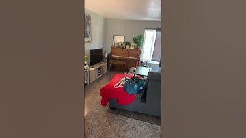 SimpliSafe security system tour #shorts #homesecurity #tour