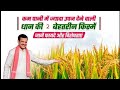 कम🌦️ पानी में ज्यादा उपज वाली🌾 धान की उन्नत किस्में 🔥 2025 में बना देंगी मालामाल 💰💸 #धान_की_किस्मे