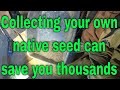 Debearder-Rethasher Native seeds and cleaning Save you thousands