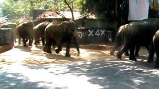 DSCF2481.AVI