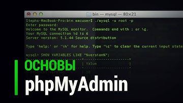 Основы phpMyAdmin для новичков веб программистов