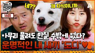 [Variety] Time Between Dog and Wolf 2 Episode 18_260513_The Unfilial Bite: Is It Coercion or Educ...