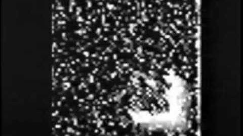 Robust dynamic motion estimation over time, CVPR 