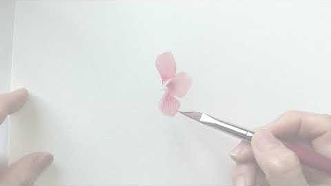 Introduction To The New Velvetouch™ Petals Brush with Esther Peck