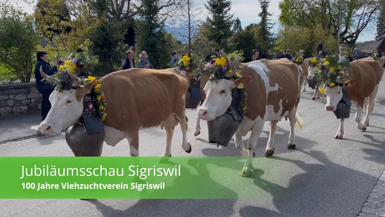 Jubiläumsschau Sigriswil – 100 Jahre VZV Sigriswil