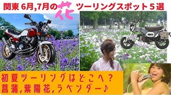 関東 初夏ツーリング 6月 7月の花 ツーリングスポット5選 22年 Youtube 関東 初夏ツーリング 6月 7月の花 ツーリングスポット5選 22年 Youtube
