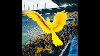 Dev Sarı Kanarya Fenerbahçe Tribününde