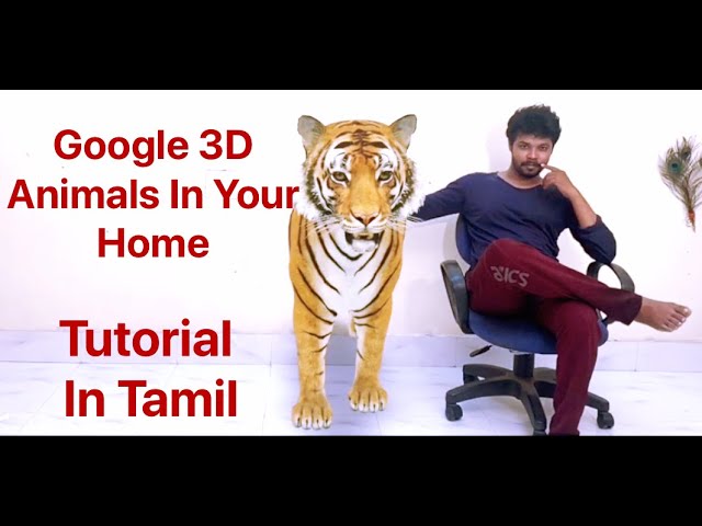 Bringing the Animal Kingdom to Life with Google 3D #Google3DAnimals #