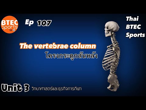 Ep.107 The vertebrae column โครงกระดูกสันหลัง