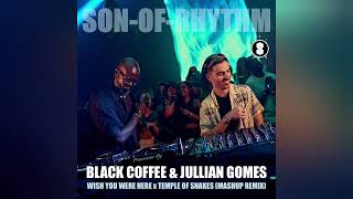 Black Coffee, Jullian Gomes - Wish You Were Here / Temple Of Snakes (Mashup Remix) | Son-Of-Rhythm