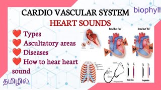 | CARDIO VASCULAR SYSTEM | Heart sounds and it's Ascultatory areas in Tamil | Types | How to hear |