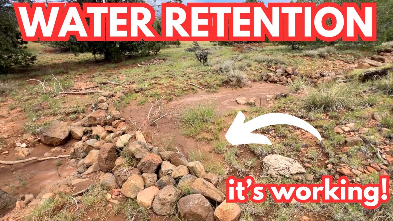 Волшебник воды в высокогорной пустыне — укреплённые дамбы, больше осадка и зелёные растения