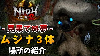 仁王2 太初の侍秘史 見果てぬ夢 囚われたムジナの場所 Dlc第3弾 Nioh2 Youtube